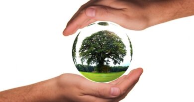 Zielone Materiały POS: Jak Stać się Ekologicznym Biznesem